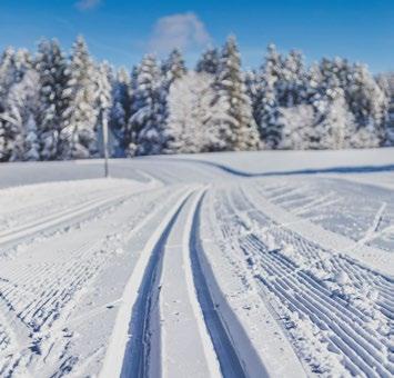 Johanna Udd, kundansvarig på OBOS, berättar. Johanna Udd Kundansvarig, OBOS Lugnt och skönt, men ändå nära till stan i Vännäsby är livet på landet som allra bäst.