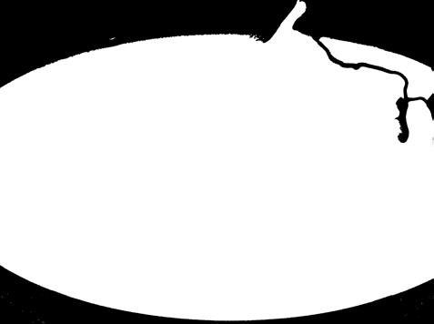 00 Catering Tel: 0297-420 15 E-post: elisabeth.