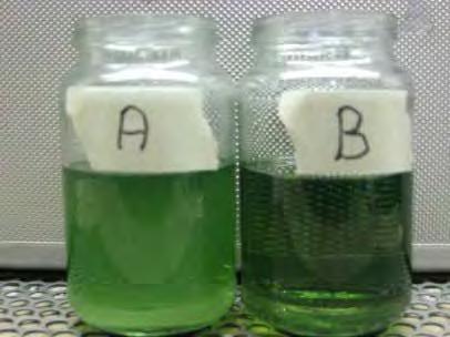 blev grumligt. Nedan bild visar det förorenade bränslet utan (A) och med Triboron tillsatsen (B).