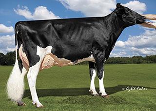 CRISweden Typ & Style Blowtorch x Supersire CookiecutterFamiljen HANDLE 1HO13460 AOT BLOWTORCH HANDLEET Born: 02/26/17 Reg.