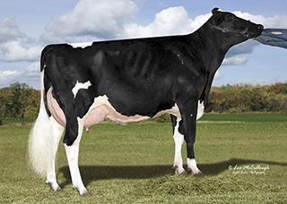 MGS: SEAGULLBAY SUPERSIREET MGD: COOKICUTTER MOM HALOET VG88, EXMS, DOM 200 3x 365d 35,280m 5.2 1819f 3.5 1237p lbs.