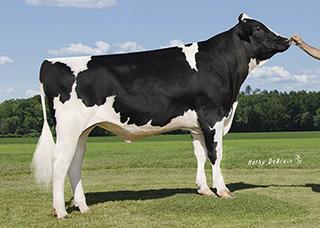 +$365 FM$ +$819 FYFT$ +$99 CM$ +$866 CABL$ +$42 Milk 1492M 77%R PREF$ +$403 Protein 50P 0.02% MABL$ +$195 Fat 65F 0.03% CFP 115 Prod. Life 8.20 73%R DPR 3.70 72%R SCS 2.61 PTAT 2.