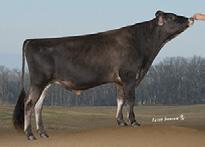 CRISweden 1134 94454 GC90 540 ICC$ +$724 LNM$ +$570 70%R 98%ile ChMAX$ +$475 CM$ +$610 FM$ +$484 SUST$ +$272 Milk 608M 74%R FERT$ +$23 Protein 41P 0.09% Fat 69F 0.20% CFP 110 Life 4.80 63%R SCS 0.
