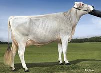 MGD: Voelkers Brook Cara Palmyra TRIStar RJ Bonnie Lifetime NM +$434 61%R 93%ile Cheese Merit +$442 Fluid Merit +$421 Milk 1373M 66%R 44P 0.01% 44F 0.05% 88 Life 3.70 57%R SCS 2.
