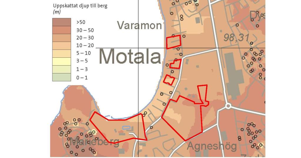 Kännetecknande för Varamons strandmiljöer är framförallt de grova tallarna. Även en viss ekpopulation förekommer inom Varamo-området.