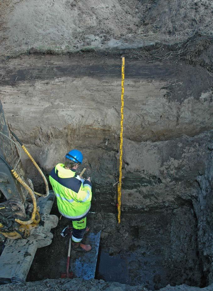 Fig. 3. Stratigrafin i samtliga djupschakt dokumenterades. Här är Per Lagerås fullt upptagen med dokumentationen av lagerföljderna i schakt 9. Foto Sven Hellerström. under Littorinatransgressionen.