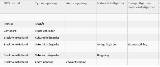 Figur 7. Utsnitt ur den nedladdningsbara informationen, i tabellform.