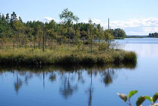 Strandzonen utgörs av