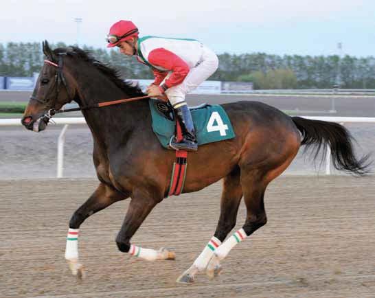 7 600 dt Ca kl 6.29-2 MRS LOREEN 55,5 Jacob Johansen PEAS AND CARROTS MILE 4, fux s Needwood Blade-Irish Dolly / Docksider (Ljungstorps Gård AB) Livs: 6 2-3-0 48 500 (454 400) Bankod 34 200.000 kr 00.