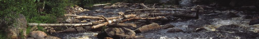 Beräknad möjlig produktion av laxartad fisk De stora produktionsområdena finns på sträckan från Lagfors ned till Edsta.