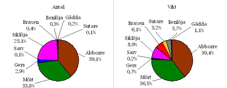 32 NÄTPROVFISKE I KALMAR län 29 Fångstresultat Mellan 9/8 13/8 29 gjordes ett standardiserat nätprovfiske i Hultebräan. Nätinsatsen uppgick till 32 bottennät samt 6 pelagiska skötar, se nedan.