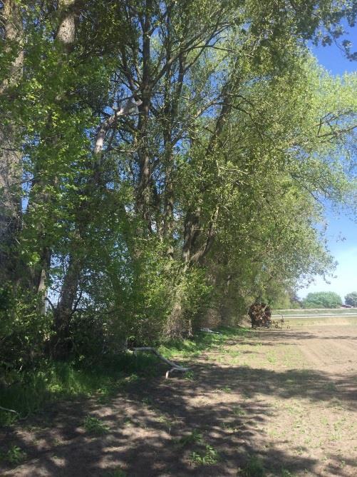 endast på ett fåtal lokaler i Sverige, varav tre återfinns i Skåne. Samtliga lokaler i Skåne är belägna i närheten av Kristianstad, varav den närmaste i Gualöv.
