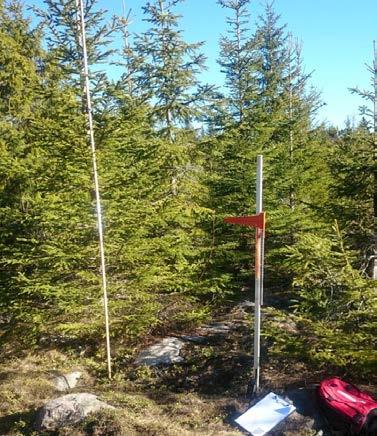 Institutionen för ekologi Grimsö forskningsstation Rönn, asp, sälg och