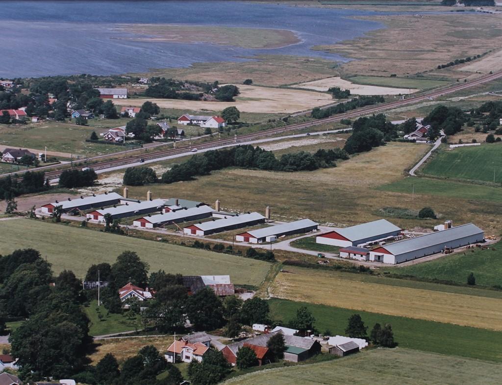 Äggproduktion Varberg VARBERG