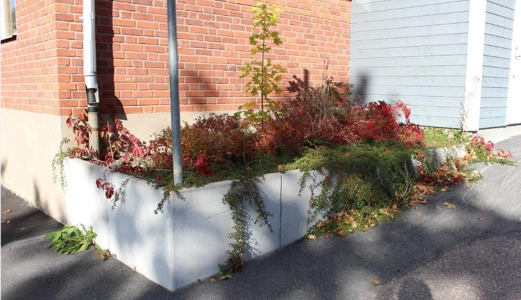 Figur 12. Inspirationsbildbild, upphöjd regnbädd. Förhållandena för en regnbädd är komplicerade då de växelvis är torra och blöta i perioder vilket ställer krav på att planteringen väljs med omsorg.