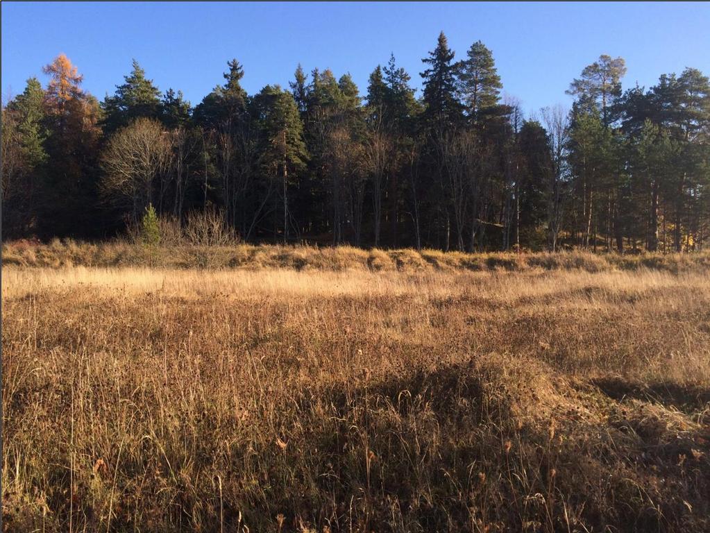 Grap Dagvattenutredning i Ängby, Knivsta