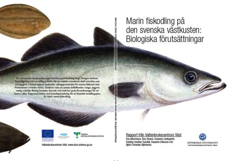 Landbaserade och