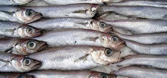 fiske: