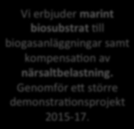 DE SOM HAR TILLGÅNG - Ge en övergripande beskrivning av er verksamhet: Vi