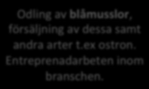 Sotenäs symbioscentrum arbetar med utbildningsfrågor bla inom den marina