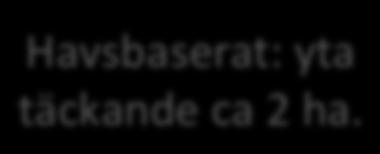 i mindre skala.