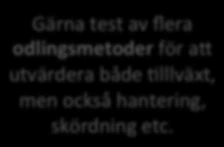 används @ll musselskörd) Gärna test av flera