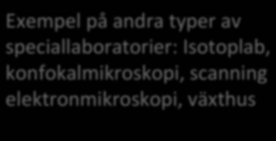 Exempel på