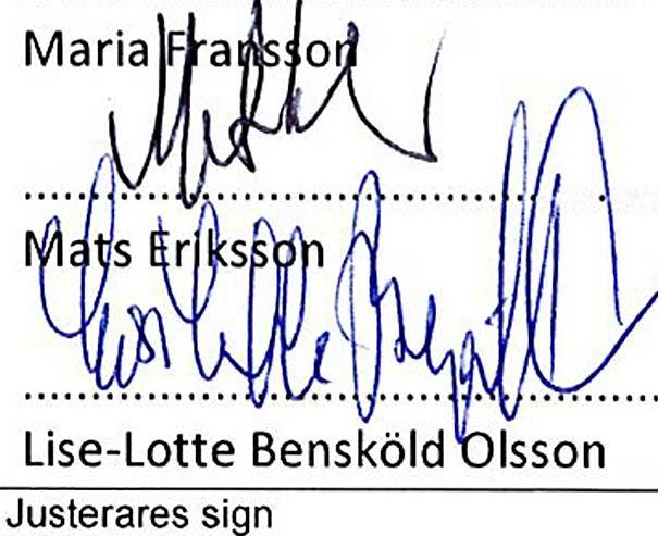 (MP) Niklas Mattsson (KO) Per Stane Persson (S) Margit Sik (S) Therese Stoltz (S) Jonas Strand (S) Lars Fritzon (S) Jerzy Golowkin (-) Bergenheim Gösta (M) Kristina Karlsson (C) Niclas Erlandsson (L)