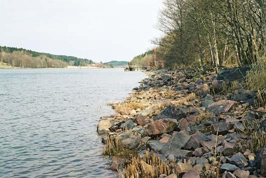 3. Göta älv, Garn Datum: 2003-04-24 Flodområde: Göta älv Koordinat: 644380/128381 Båt brygga Lada Mätstation N F 100 m uppströms båtbryggan Tillståndsklassning Totalantal taxa: 9 mycket lågt