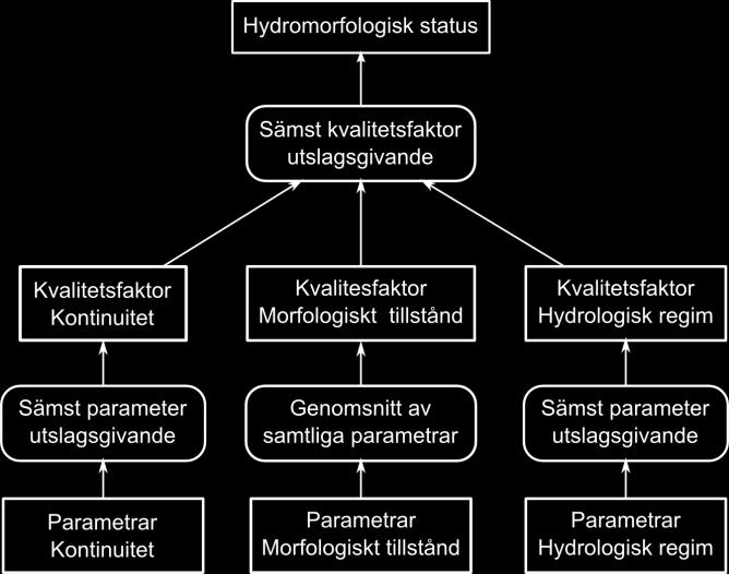 HVMFS 2013:XX Figur 1 Flödesschema för klassificering av hydromorfologisk status enligt 1.2. 1.3 Typspecifika referensförhållanden Vid klassificering av hydromorfologisk status är utgångspunkten typspecifika referensförhållanden för vattenförekomsten.