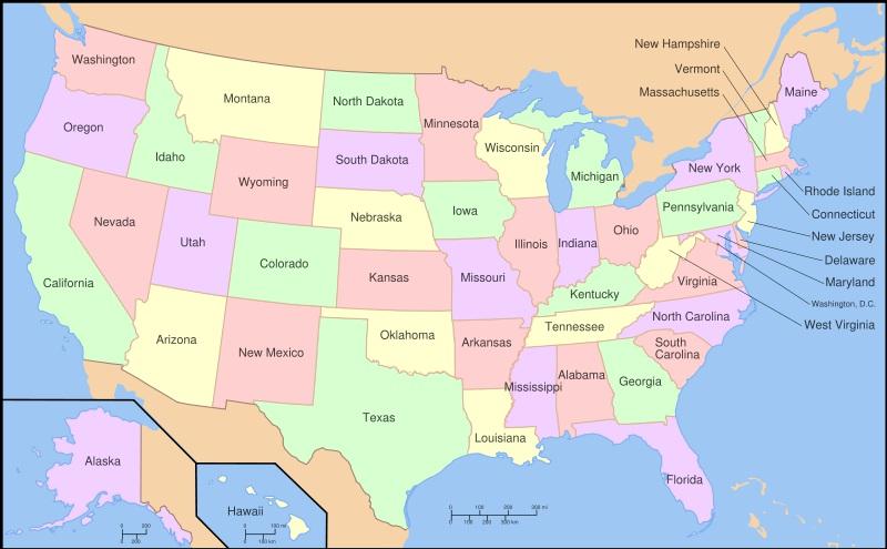 Delstaterna Att USA är en federation betyder att de 50 delstaterna har en betydande självständighet. De har egen författning, lagstiftning och kongress och styrs av en guvernör.