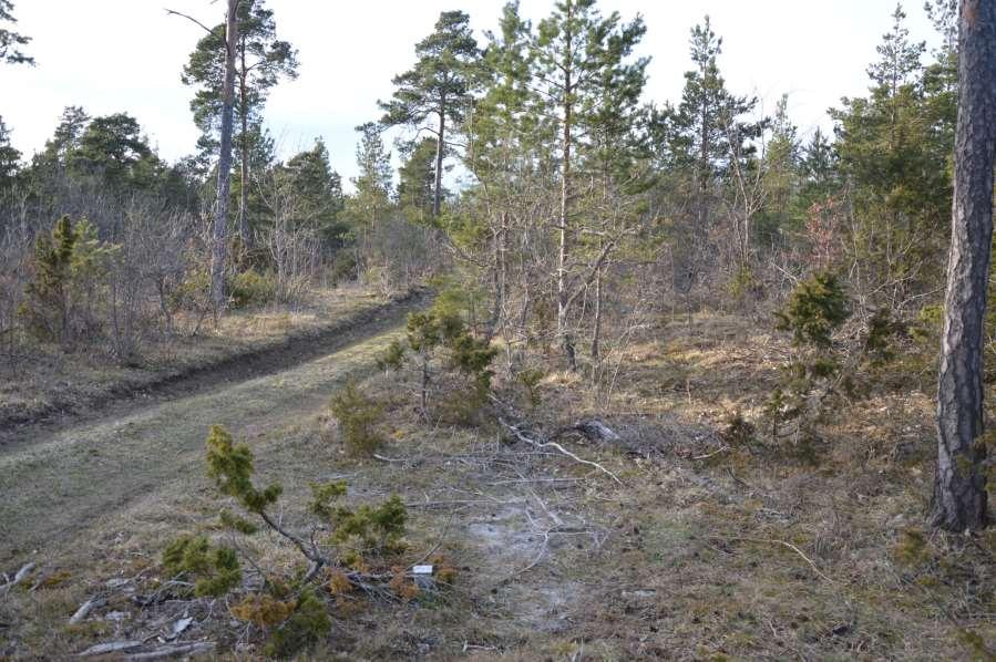 Snögrinde kalkbrott (44 m ö.h.