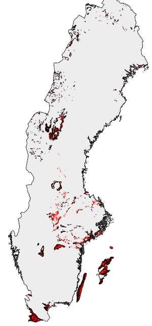Rött är kalkberggrund Sedimentär och kemiskt godtagbar (= användbar) kalksten för bränd kalk producerad i energieffektiv schaktugn finns: Gotland Dalarna (dock begränsad volym och olämplig logistik