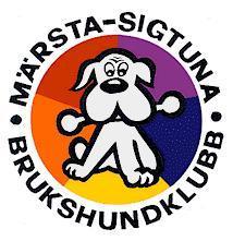 1 Verksamhetsberättelse Märsta-Sigtuna Brukshundklubb 2016 MSBK:s styrelse får härmed överlämna sin berättelse över verksamhet och förvaltning under verksamhetsåret 2016.