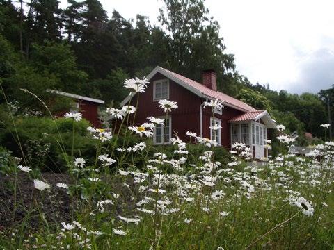 Landsbygden producerar livsmedel och andra förnödenheter, den utgör grunden för en betydande del av kommunens näringsliv, och den erbjuder upplevelser för dess invånare.