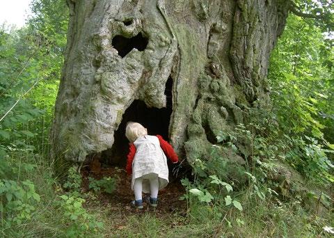 Utvecklingsprincip 1: Bevara och utveckla värdefull naturmark och vatten Bakgrund Naturtyper och organismer bör bevaras inte bara för människans skull utan för att naturmiljön har ett egenvärde i sig.