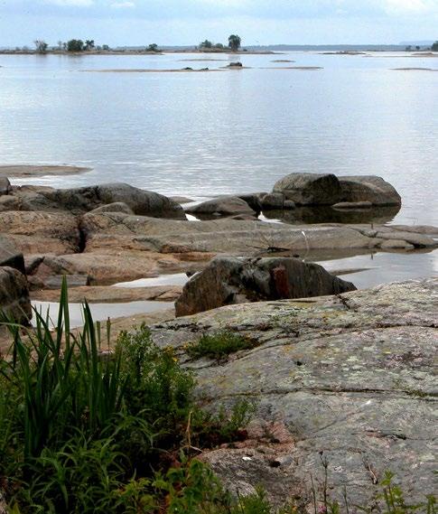 Vänersnäs norra udde 2000-områden. Länsstyrelsen har också bedömt ett flertal områden i kommunen som riksintresse för natur-, kultur- och friluftsliv.