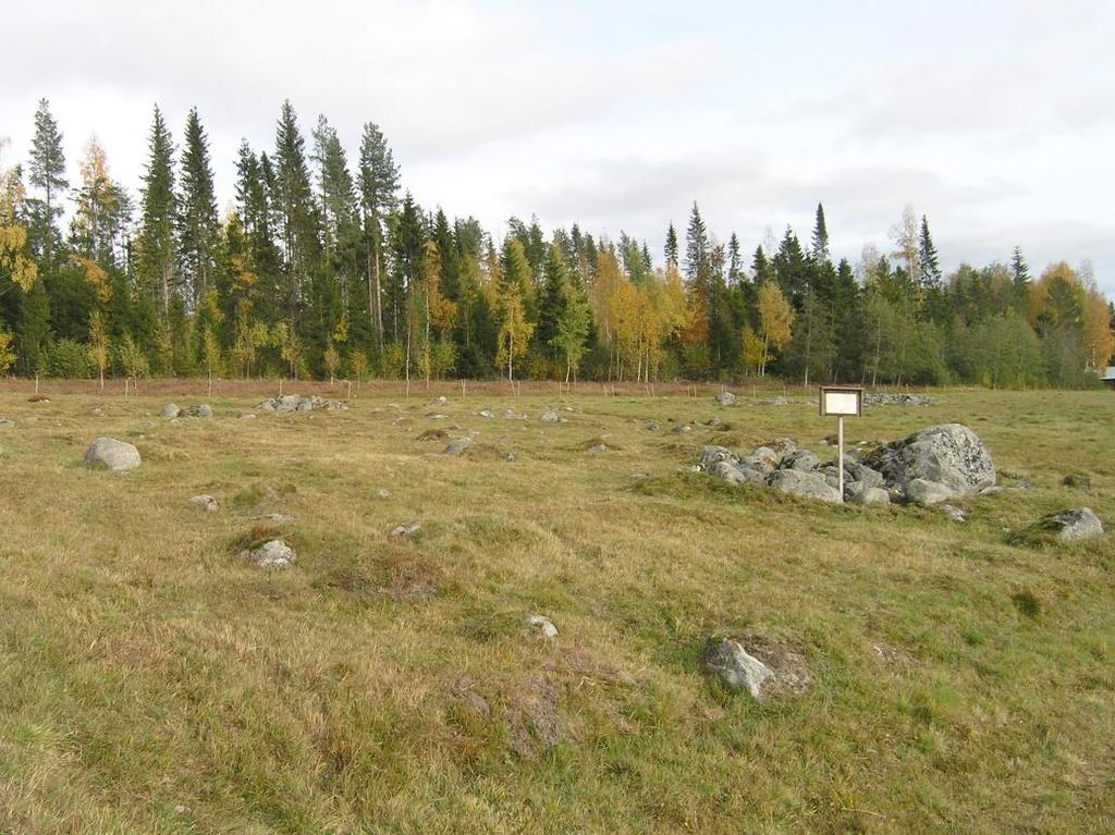Bevarandeplan Natura 2000 Myckelsjö hackslått SE0710220