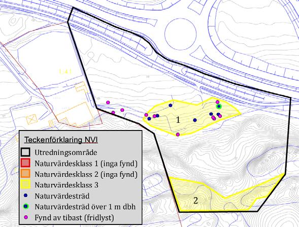 Markfloran uppvisade heller inga intressanta arter utan domineras av triviala arter som husmossa, väggmossa, tuvtåtel, veketåg, hallon, sötbjörnbär och olika