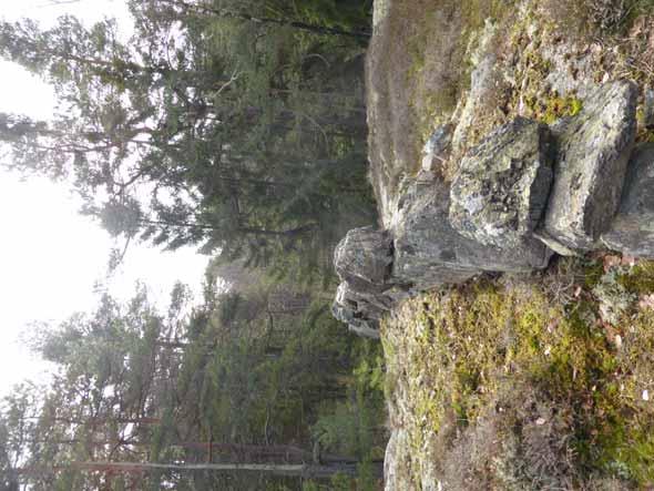 Naturvärdesobjekt: 2 Naturtyp: Barrskog Skyddsvärda arter och strukturer: Liggande och stående död barrved, främst klenare dimensioner, nordvända bergbranter, Naturvärdesklass enligt NVI: 3 påtagligt