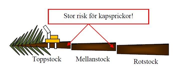 - Kapspricka markerad som en etta som positiv - Kapsprickans längd in i stocken mätt i centimeter - Kapsprickans läge mätt från kambium mot kärna i centimeter - Basmaskin samt aggregat Då det gäller