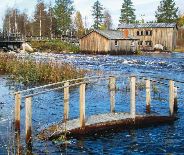 EKOSYSTEMTJÄNSTER OCH EKONOMISK VÄRDERING 15 producerar en mångfald av ekosystemtjänster som exempelvis kolbindning, biologisk mångfald, rekreationsmöjligheter, vilt och svamp och bär.