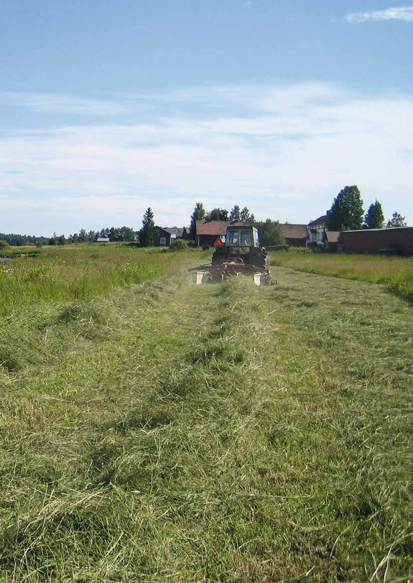 28 KLIMATFÖRÄNDRINGAR I NORRBOTTENS LÄN KONSEKVENSER