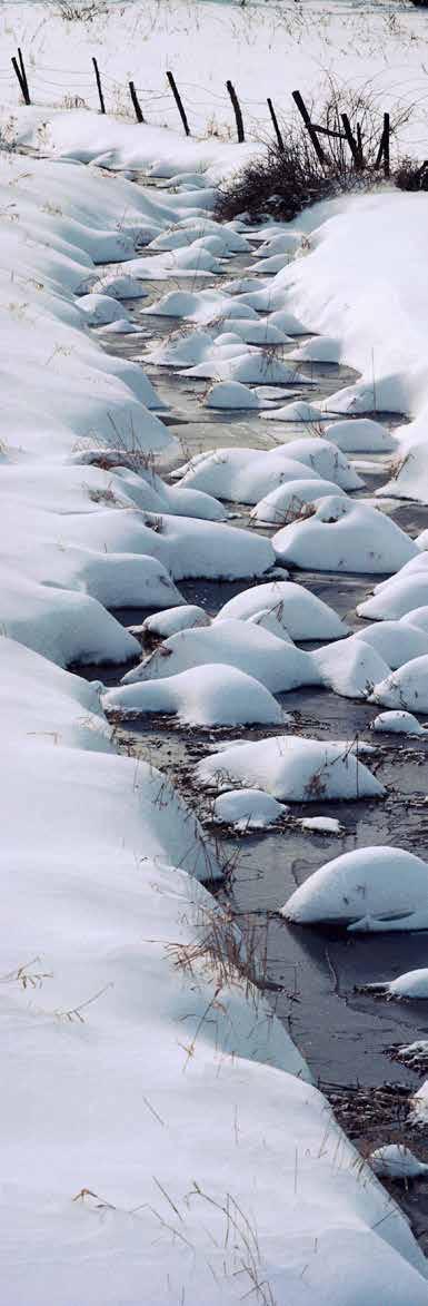 4 KLIMATFÖRÄNDRINGAR I NORRBOTTENS LÄN KONSEKVENSER OCH ANPASSNING FÖR AREELLA NÄRINGAR OCH EKOSYSTEMTJÄNSTER Innehåll FÖRORD... 3 1. INLEDNING... 7 1.1 Bakgrund och syfte.... 7 1.2 Rapportens upplägg.