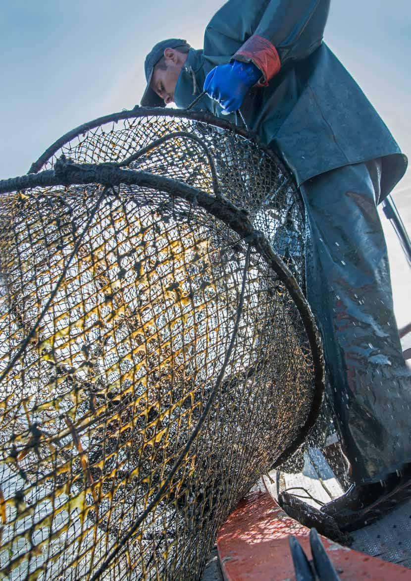 40 KLIMATFÖRÄNDRINGAR I NORRBOTTENS LÄN KONSEKVENSER