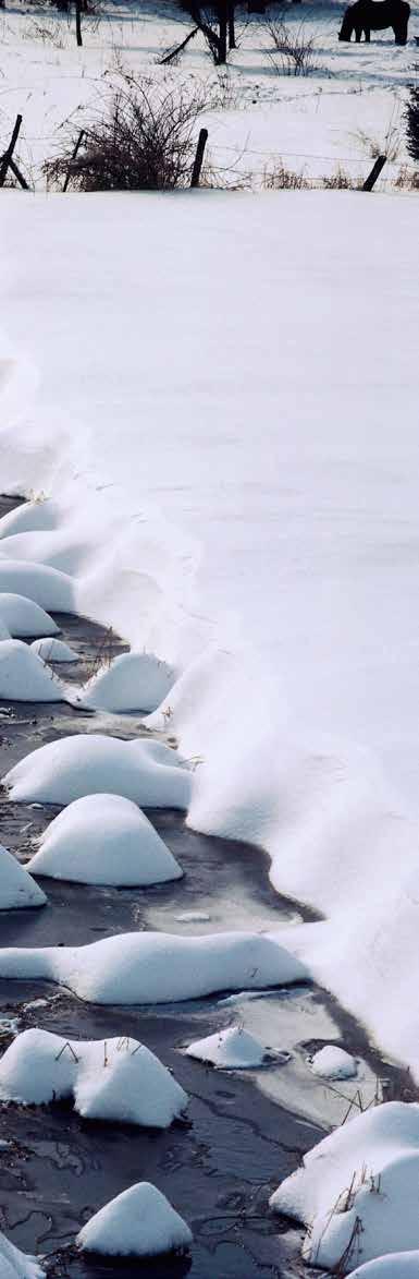 INNEHÅLL 5 9. NATURBASERADE UPPLEVELSER, JAKT, FRITIDSFISKE OCH MEDFÖLJANDE TURISM... 61 9.1 Naturbaserade upplevelser i Norrbotten... 61 9.2 Naturbaserade upplevelser, ekosystemtjänster och klimatförändringar.