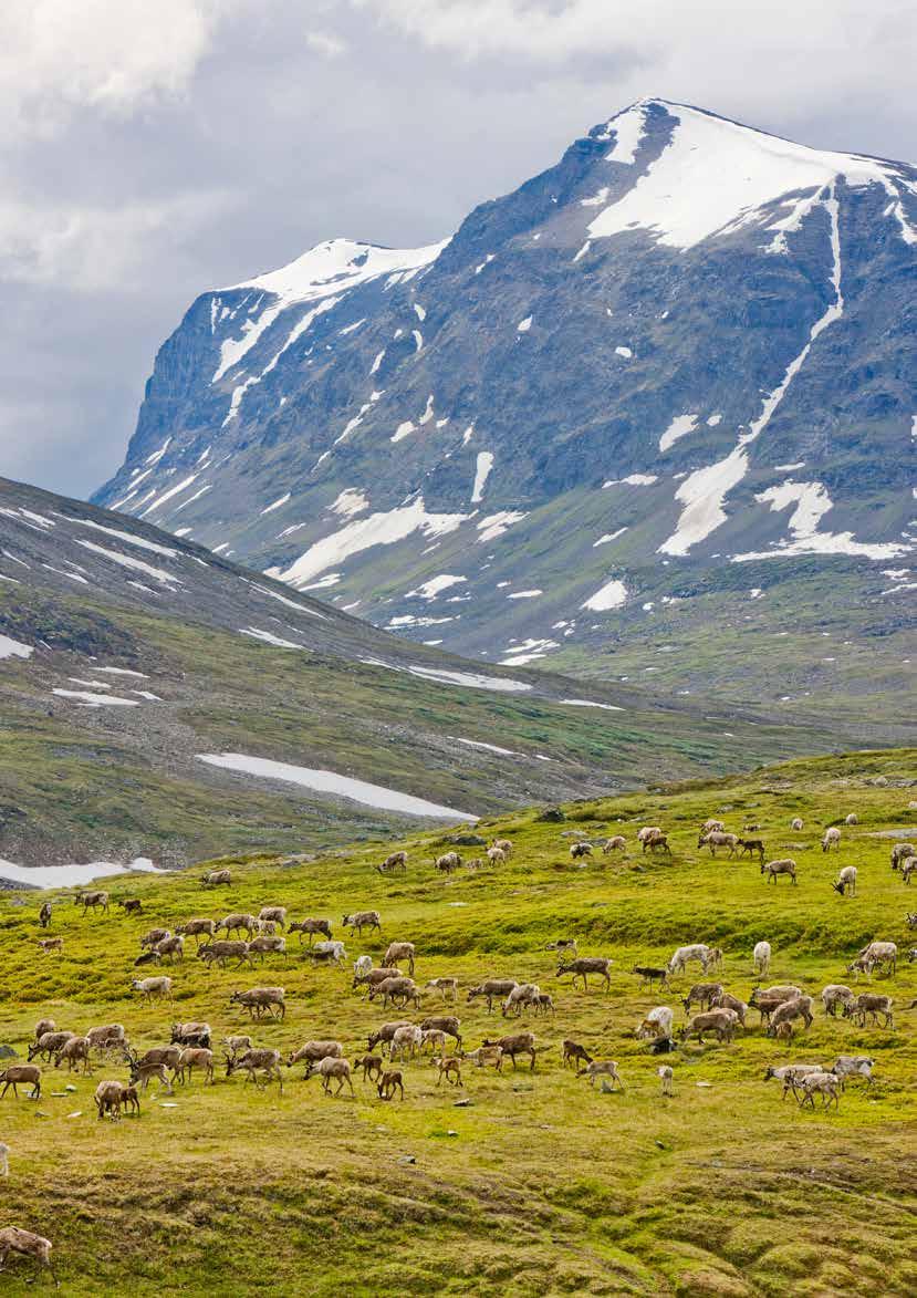 50 KLIMATFÖRÄNDRINGAR I NORRBOTTENS LÄN KONSEKVENSER