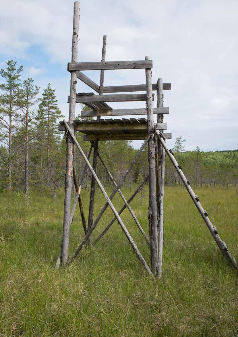 70 KLIMATFÖRÄNDRINGAR I NORRBOTTENS LÄN KONSEKVENSER