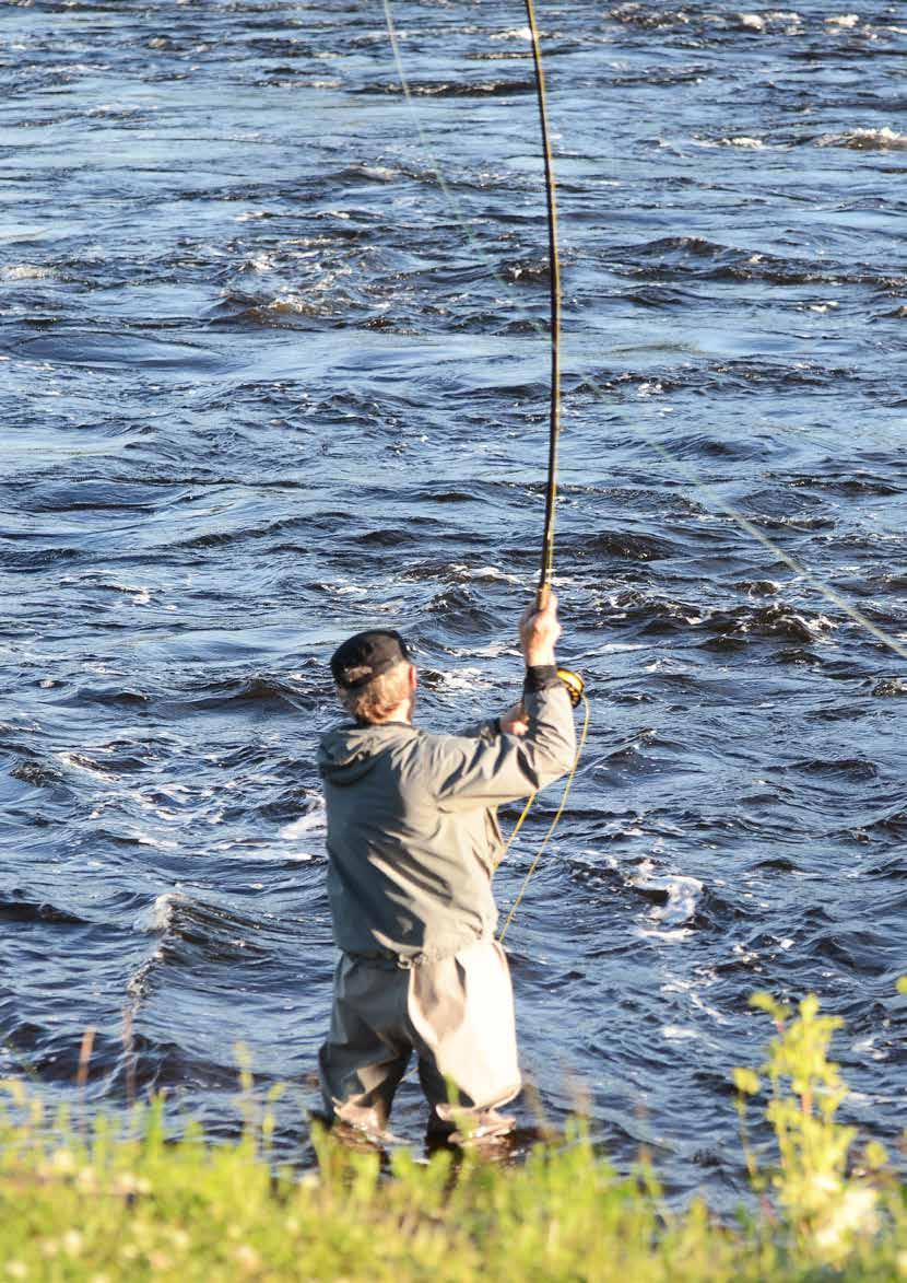 76 KLIMATFÖRÄNDRINGAR I NORRBOTTENS LÄN KONSEKVENSER