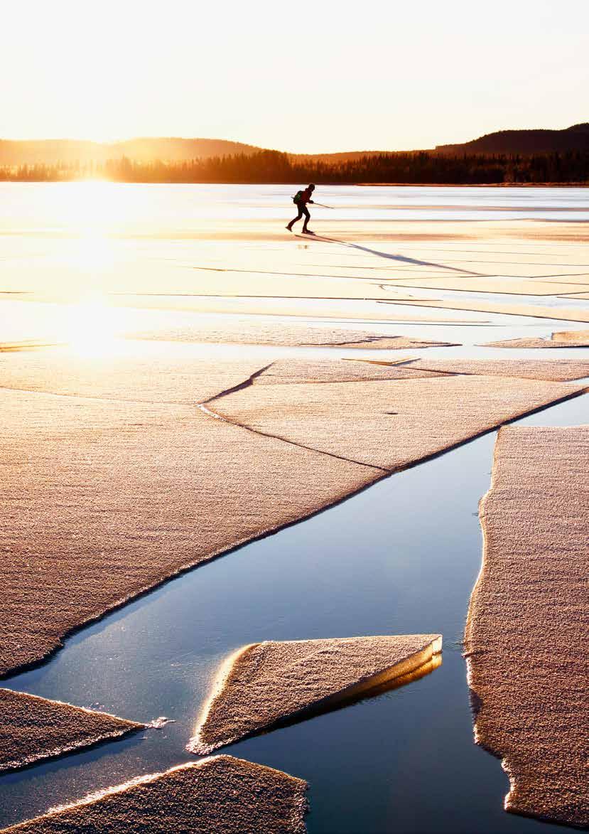 82 KLIMATFÖRÄNDRINGAR I NORRBOTTENS LÄN KONSEKVENSER